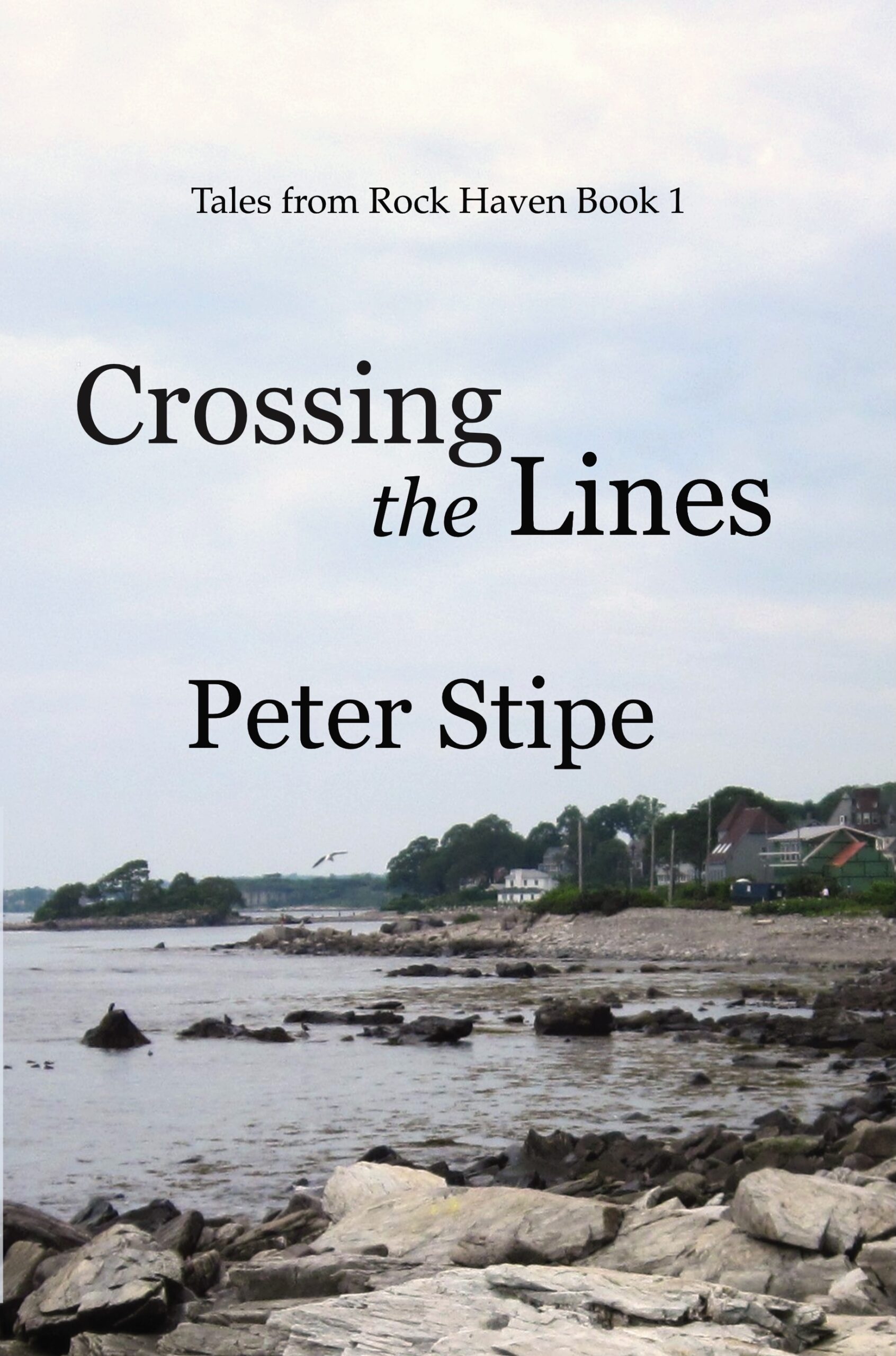 Book Cover: Rocky shoreline with houses