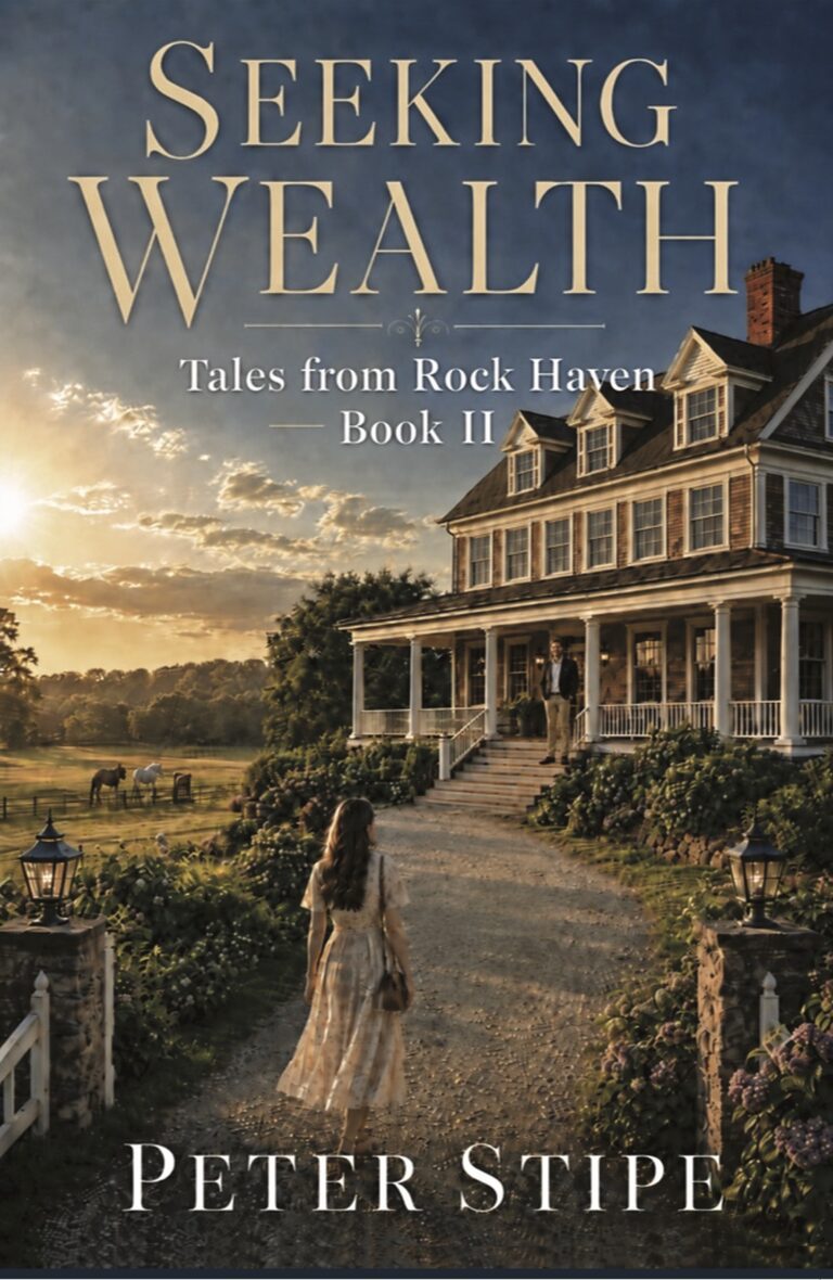 Front Cover of novel, Seeking Wealth